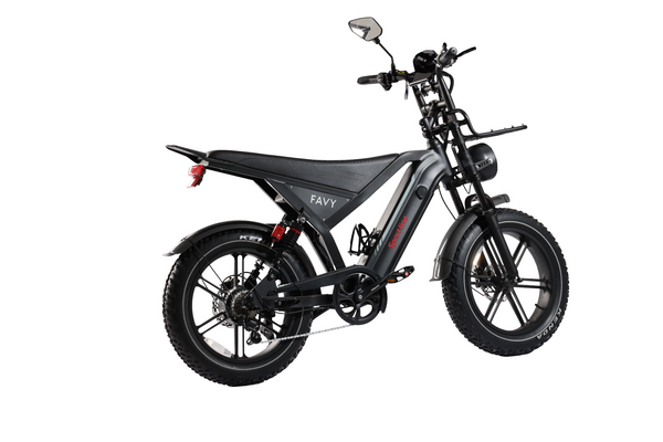 Favy Sportline GT20